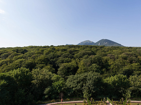 Санаторий «Буковая роща»  г. Железноводск